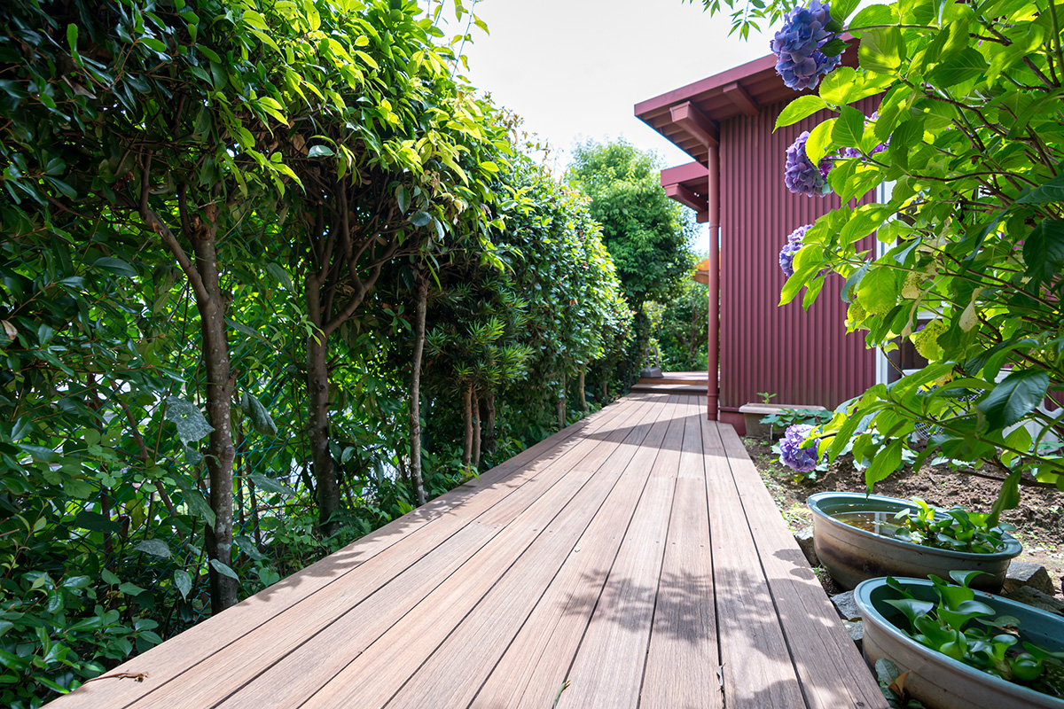 緑に囲まれた裏庭には、野菜畑が。職員と子どもたちで育てた旬の野菜は食育に。