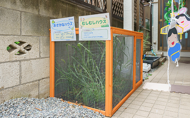 とんぼのおうち保育園