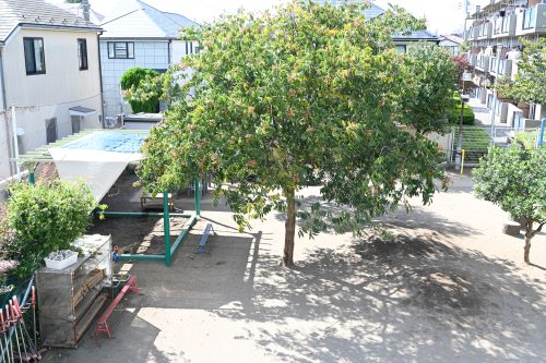 石神井さくら保育園